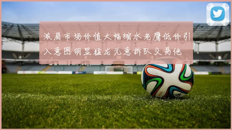 浓眉市场价值大幅缩水老鹰低价引入意图明显猛龙无意拆队交易他